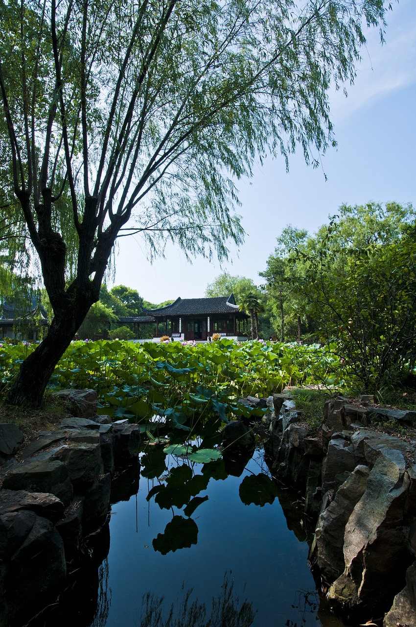 苏州湖畔樾山最新动态，未来人居新篇章揭晓